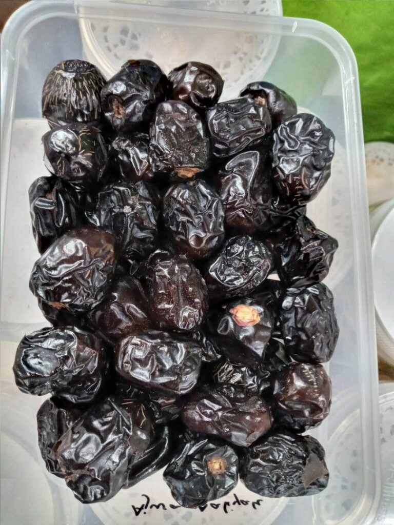 Kurma Ajwa Madinah
