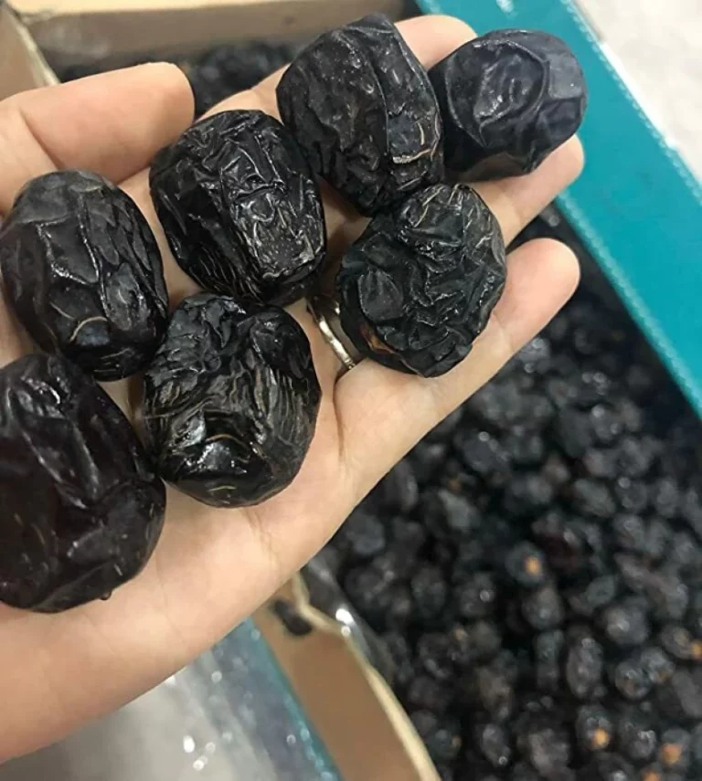 Kurma Ajwa Madinah